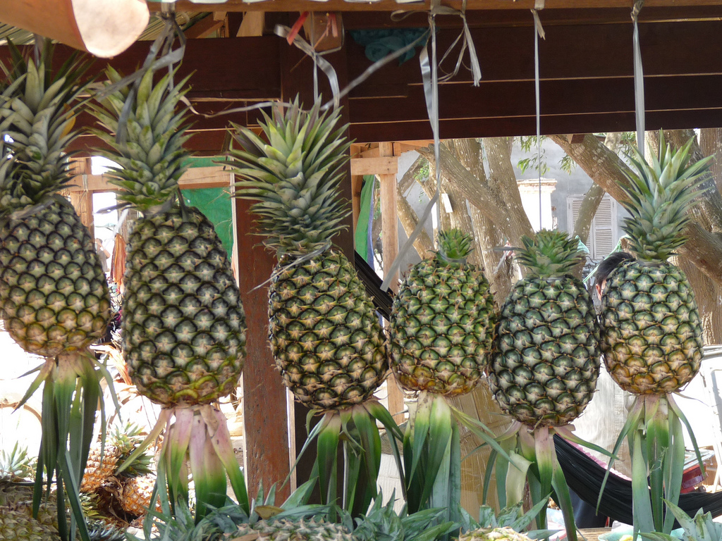 ANANAS - WARTOŚĆ ODŻYWCZA, BROMELAINA, ZDROWIE