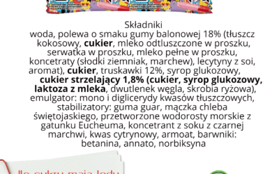 Lody Ekipa – jaki mają skład?
